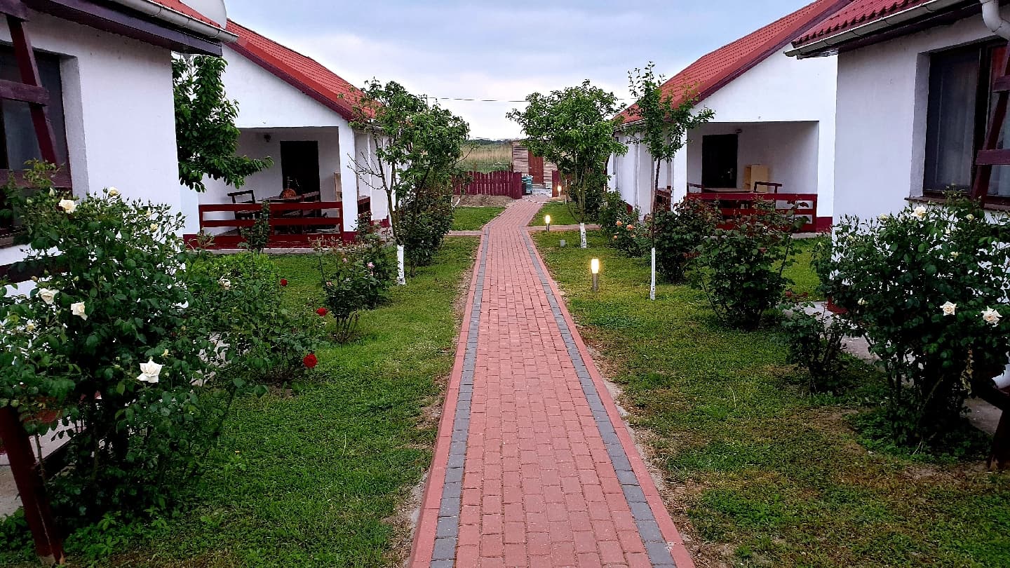 Delta Crișan