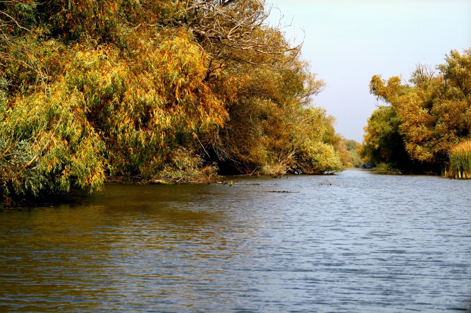Când să mergi în Delta Dunării — ghid pe sezoane