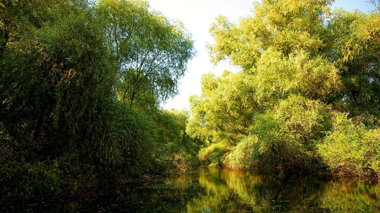 Lacul Uzlina
